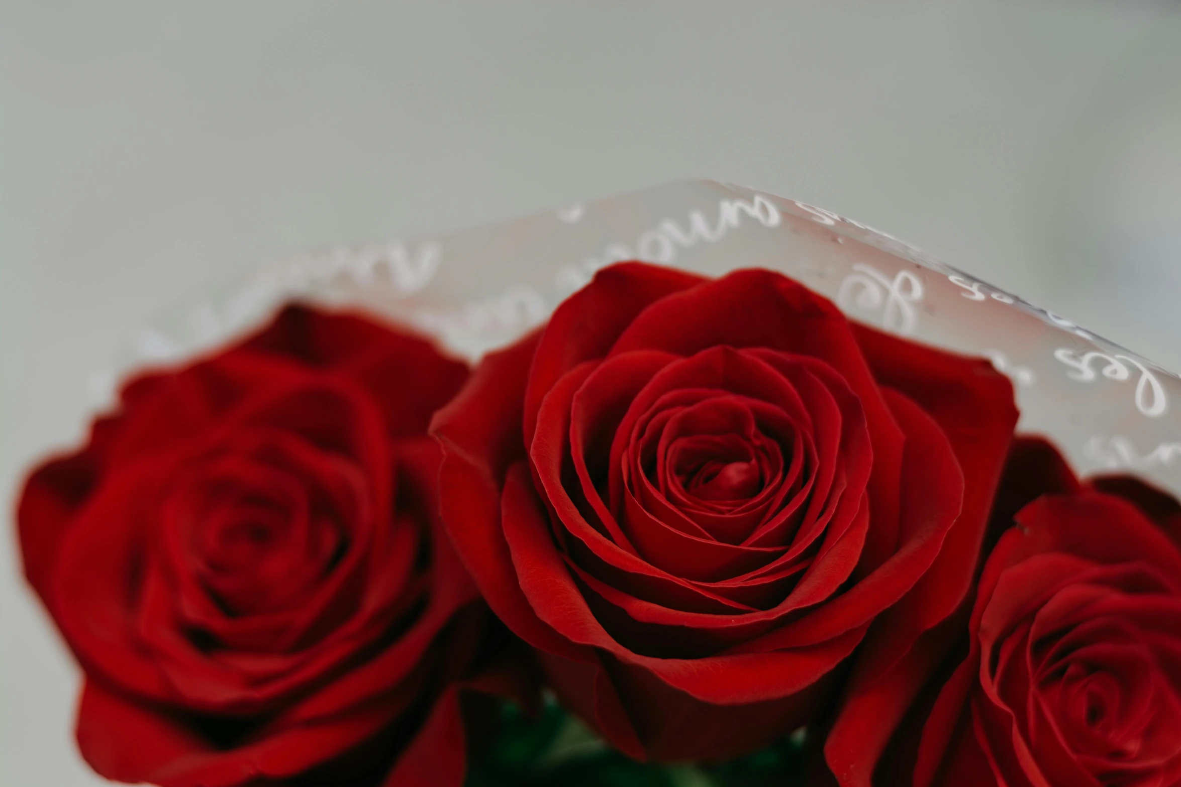 a close up of a bouquet of red roses, by Robbie Trevino, shot on 1 5 0 mm, detailed product image, shot on sony a 7, red lace
