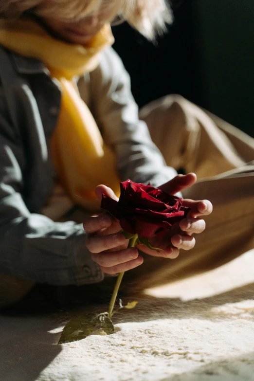 a close up of a person holding a flower, a still life, unsplash, red shirt brown pants, rose petals, sorrow, ignant