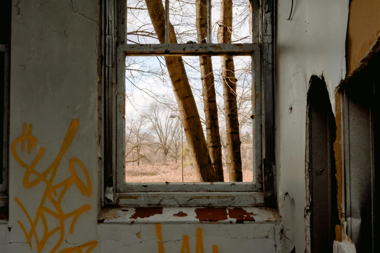 a window that has some graffiti on it, a portrait, pexels contest winner, blair witch project, background image, demolition, some trees in the corner