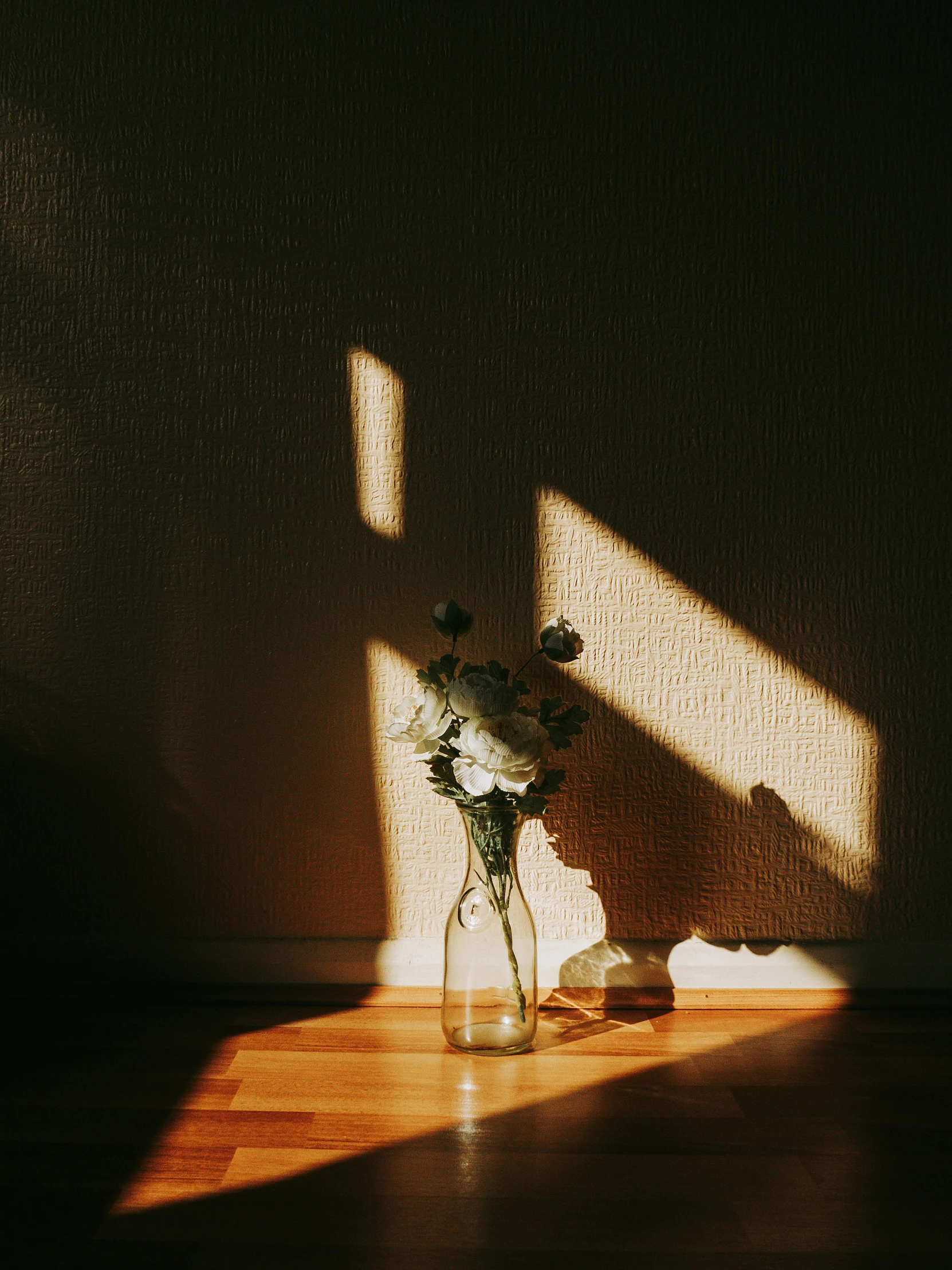 a vase filled with flowers sitting on top of a wooden floor, unsplash contest winner, light and space, shadow play, sun puddle, liminal space aesthetic, consist of shadow