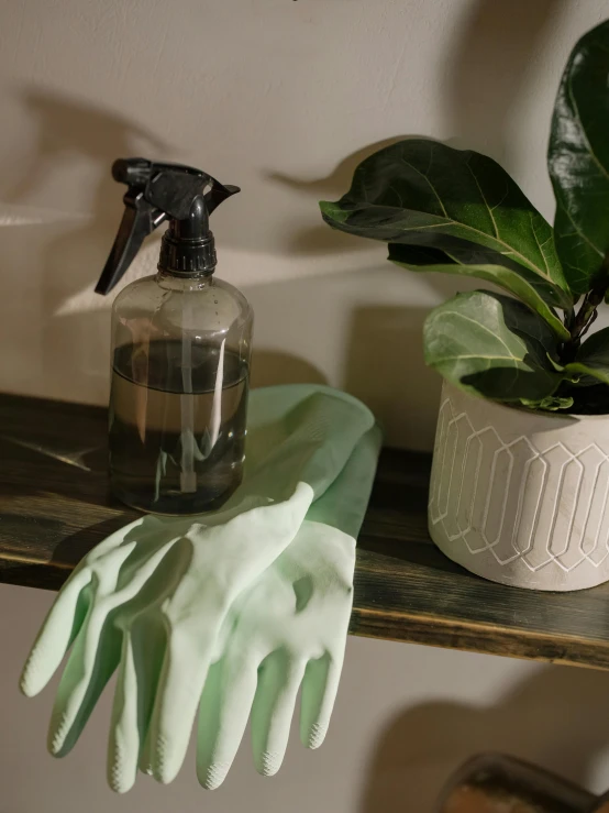 a green glove sitting on top of a shelf next to a potted plant, by Ben Zoeller, pexels contest winner, spraying liquid, thumbnail, brown, clean aesthetic