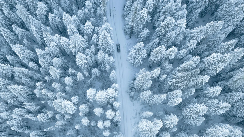 an aerial view of a snow covered forest, by Jaakko Mattila, visual art, a car, white and blue, thumbnail, holiday season