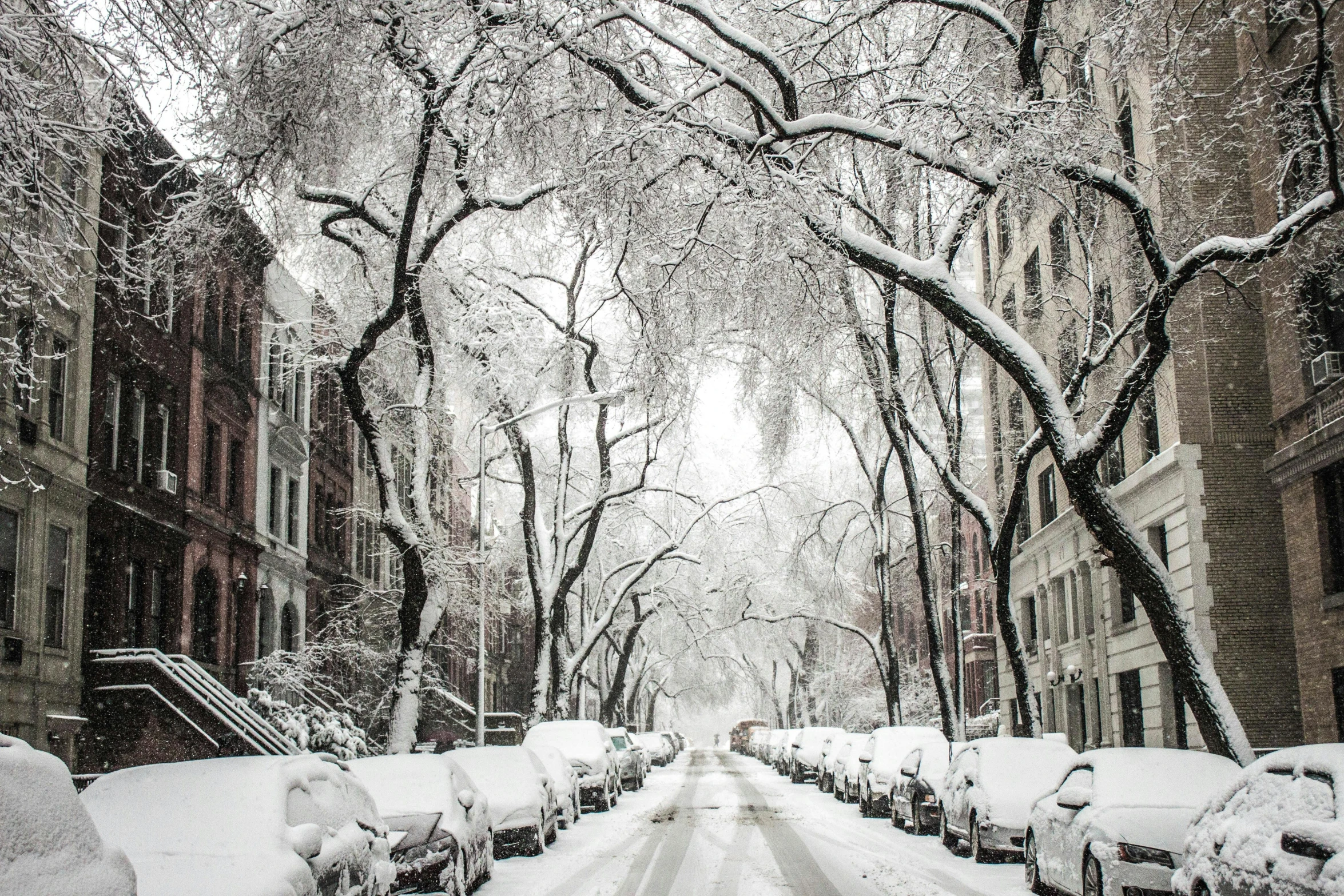 a street filled with lots of snow covered cars, by Carey Morris, pexels contest winner, manhattan, maple trees along street, fine art print, white buildings