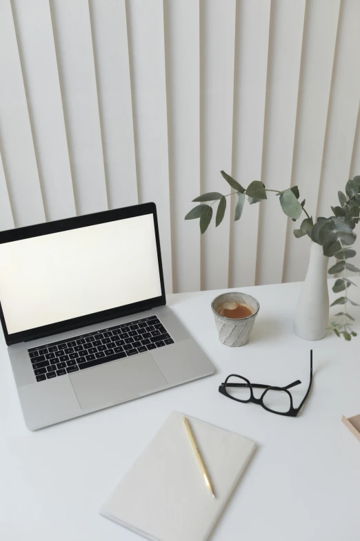 a laptop computer sitting on top of a white table, trending on pexels, plants in glasses, rounded lines, low quality photo, carefully crafted