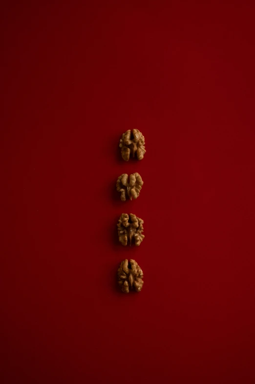 walnuts are arranged in a row on a red background, an album cover, inspired by Lucio Fontana, trending on unsplash, postminimalism, four legs, buddhist, alessio albi, brains