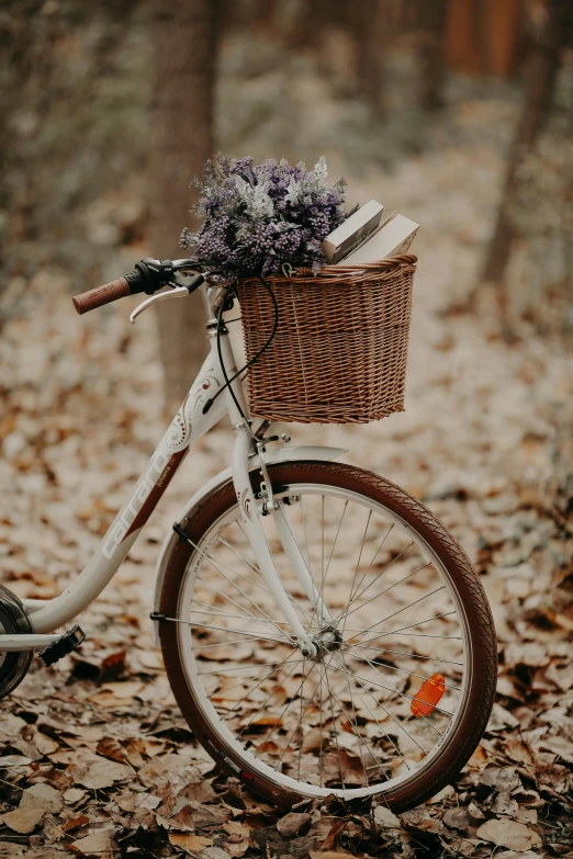 a bicycle with a basket full of flowers, a colorized photo, pexels contest winner, forest setting, brown, book, white and purple