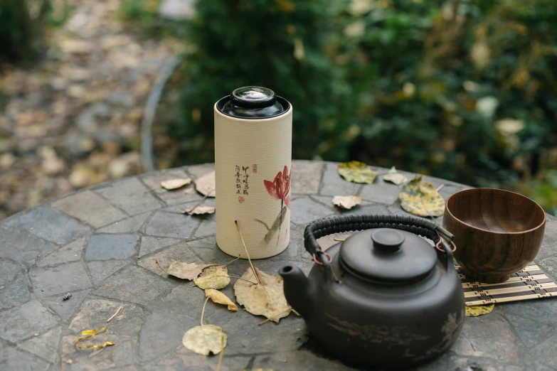 a tea pot sitting on top of a table next to a cup, inspired by Cao Buxing, unsplash, holding a tin can, on a botanical herbarium paper, autumn season, long shot view