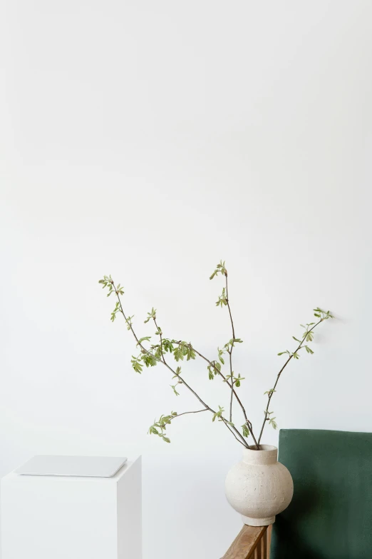 a white vase sitting on top of a wooden table, inspired by Constantin Hansen, trending on unsplash, postminimalism, branches sprouting from her head, white background wall, sage green, lulu chen