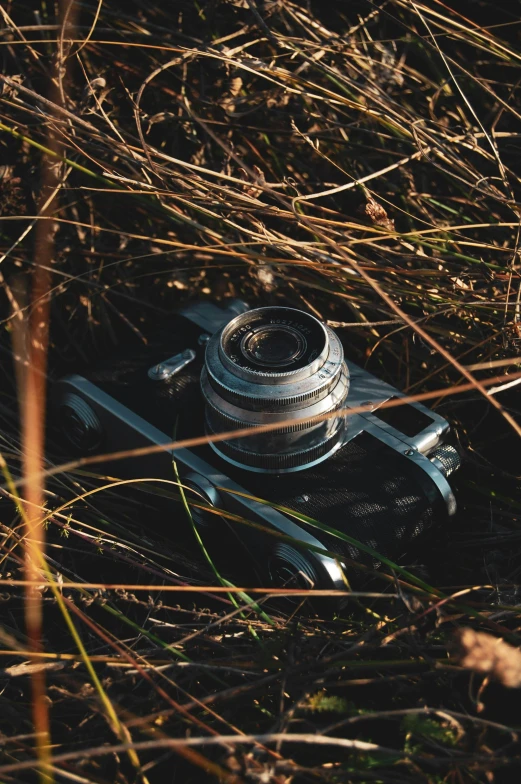 an old camera sitting in the middle of a field, unsplash contest winner, photorealism, hiding in grass, a high angle shot, explorer, auto graflex