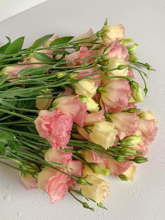 a bunch of pink and white flowers on a table, (light orange mist), zoomed in, front facing shot, buds
