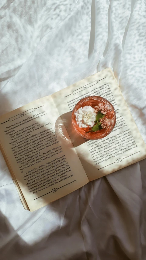 an open book sitting on top of a bed, by Isabel Naftel, pexels contest winner, neo-romanticism, drinking cocktail, slight bloom, thumbnail, abcdefghijklmnopqrstuvwxyz