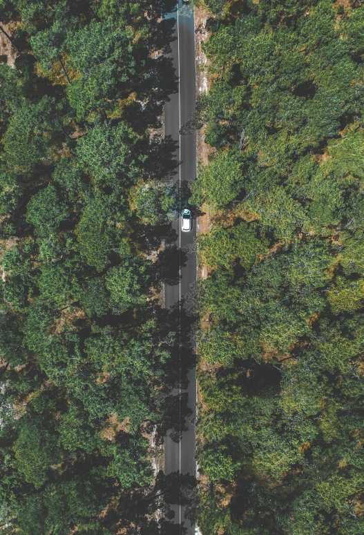 an aerial view of a road surrounded by trees, an album cover, vehicle, forest environment, environment, zoomed in