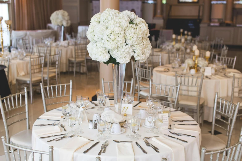 a table that has a bunch of white flowers on it, pexels, art nouveau, formal wear, multiple stories, stainless steal, indoor setting