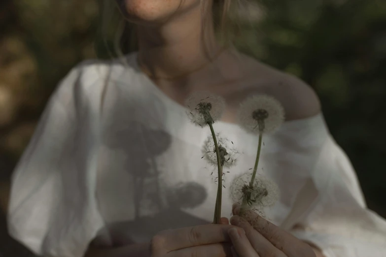 a woman holding a bunch of dandelions in her hands, inspired by Elsa Bleda, pexels contest winner, soft shadow transition, white sleeves, portrait image, half image