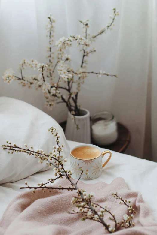 a cup of coffee sitting on top of a bed, a still life, by Lucia Peka, trending on unsplash, romanticism, sakura season, manuka, tall, soft outline