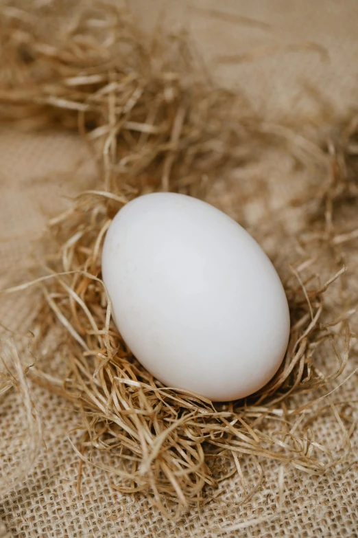 a close up of a white egg in a nest, super smooth, linen, lightweight, hay