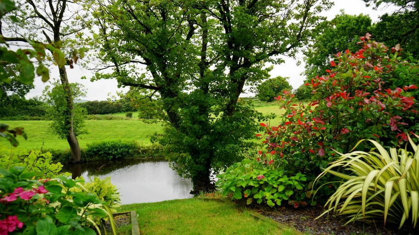 a small stream running through a lush green field, inspired by John Constable, pexels, garden with fruits on trees, koi pond, cottagecore, large tree