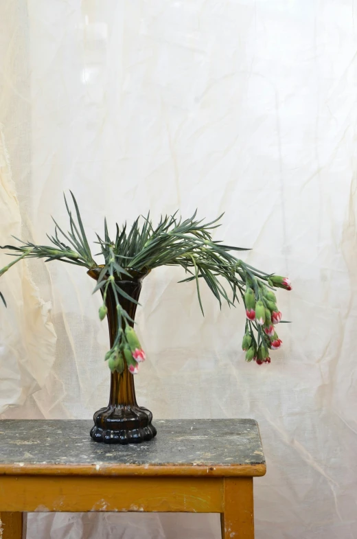 a vase filled with flowers sitting on top of a table, inspired by François Boquet, art nouveau, made of cactus spines, serene desert setting, carnivorous plant, with a long