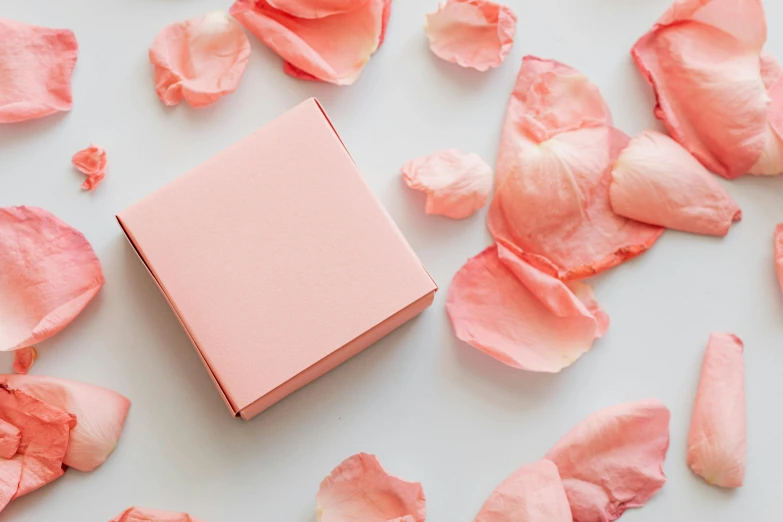 a pink box surrounded by rose petals on a white surface, trending on pexels, private press, skin detail, packaging design, no - text no - logo, mint