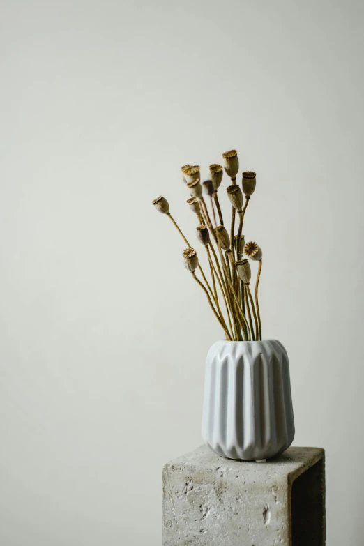 a white vase with dried flowers in it, a still life, unsplash, conceptual art, thistle, portrait of tall, lined up horizontally, beautiful sculpted details