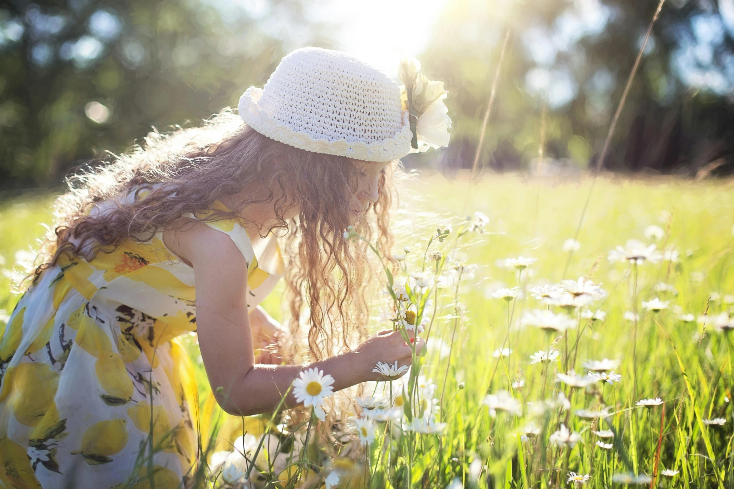 a little girl sitting in a field of flowers, inspired by Elsa Beskow, pexels, beautiful raking sunlight, holding daisy, profile pic, summer lighting