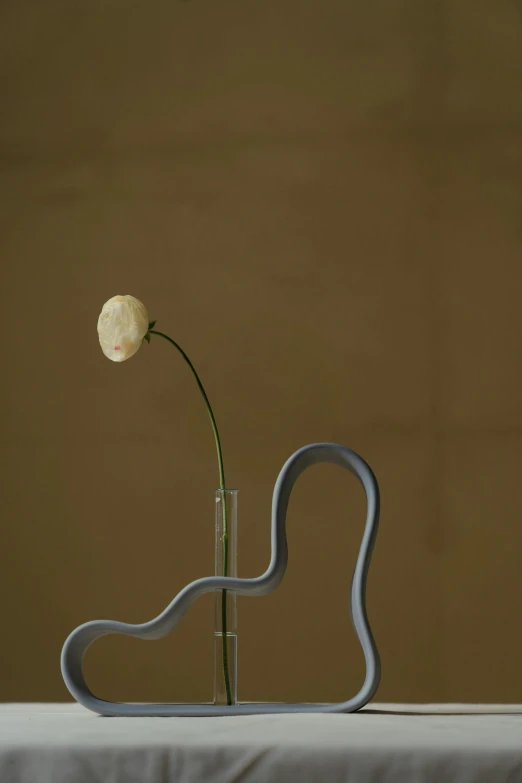 a single flower in a vase on a table, an abstract sculpture, inspired by Robert Mapplethorpe, tall thin, kidney, chair, tendrils