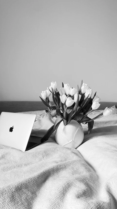 a laptop computer sitting on top of a bed, a black and white photo, tulips, apple, sofya emelenko, low quality photo