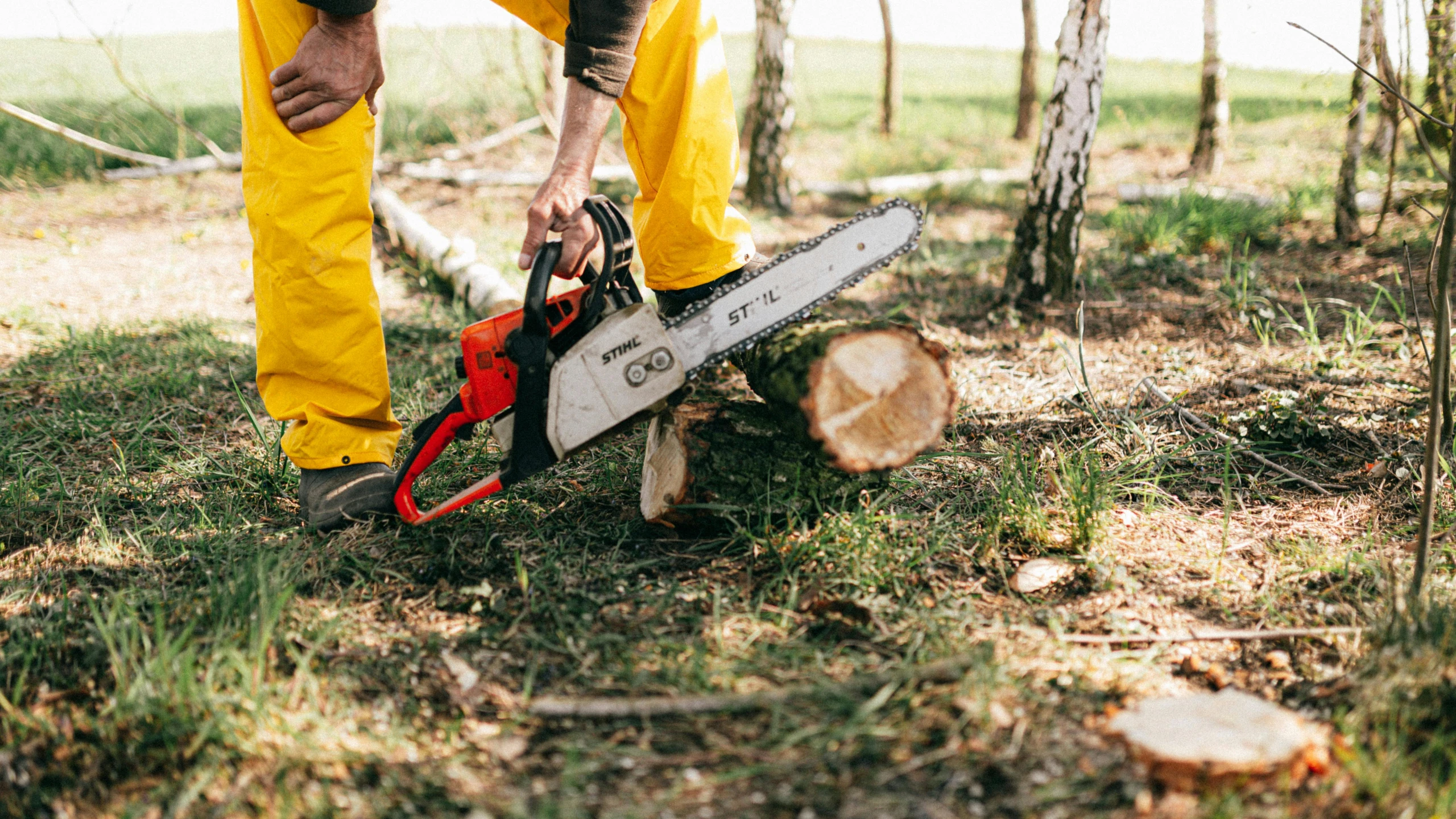 a man cutting a tree with a chainsaw, by Julia Pishtar, pexels, wearing hi vis clothing, avatar image, print, farmer