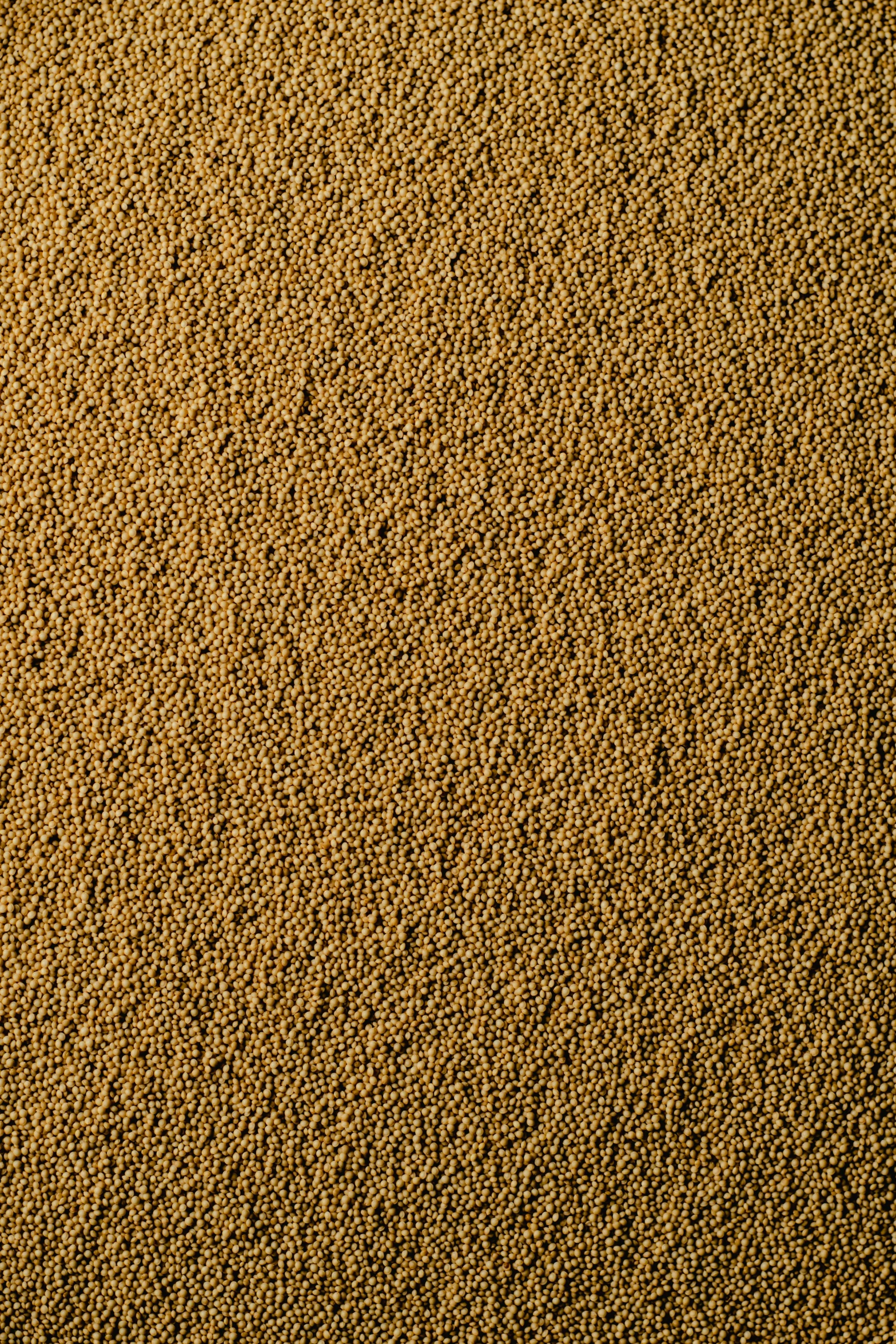 a teddy bear sitting on top of a pile of sand, a stipple, reddit, renaissance, ochre ancient palette, detailed product image, sand texture, corn