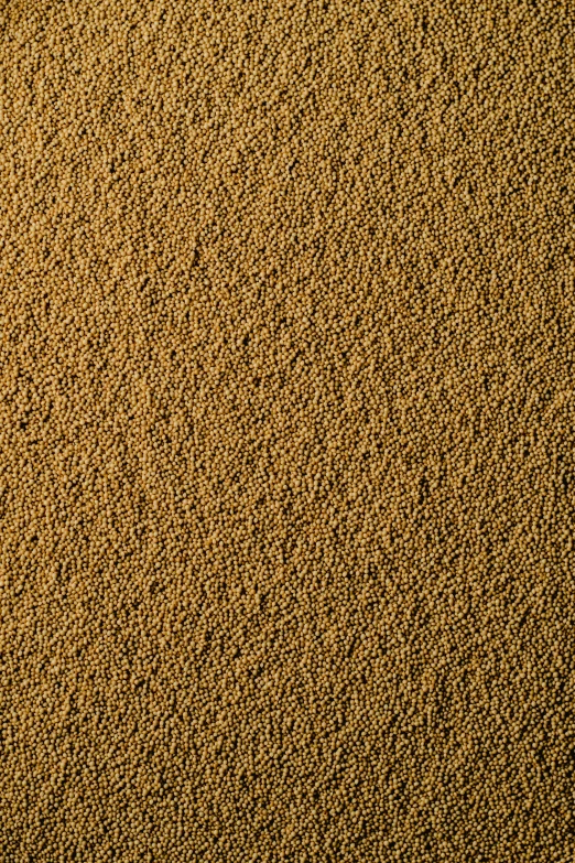 a teddy bear sitting on top of a pile of sand, a stipple, reddit, renaissance, ochre ancient palette, detailed product image, sand texture, corn