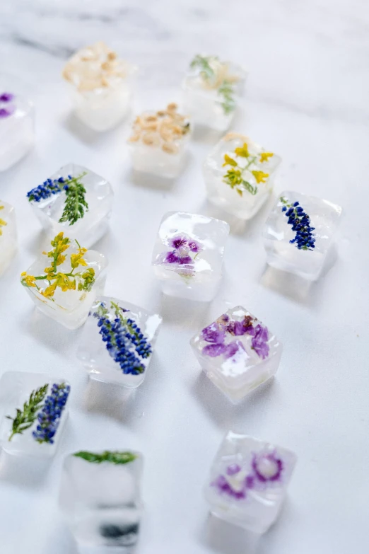 a bunch of ice cubes with flowers in them, mini, infused, best selling, made of wildflowers