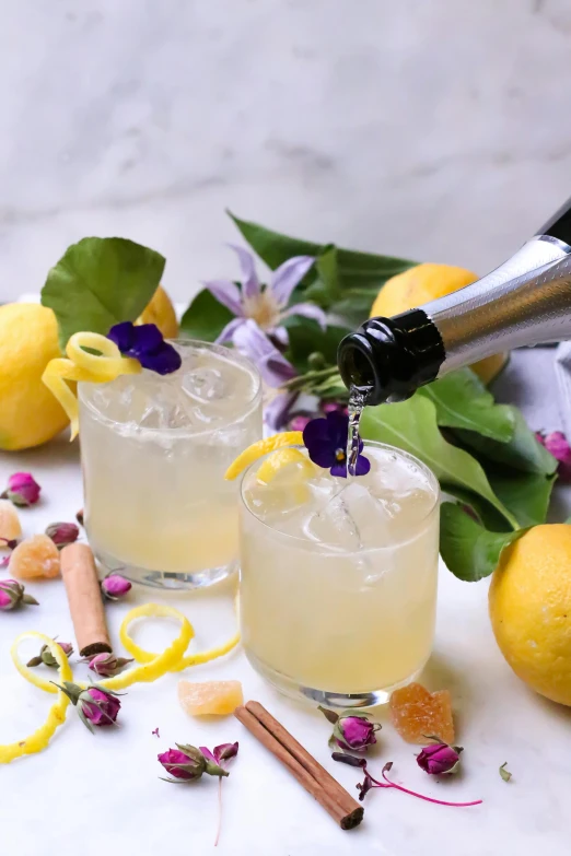 a bottle of champagne being poured into two glasses filled with lemonade, inspired by Géza Dósa, flowers, speakeasy, with sparkling gems on top, botanicals