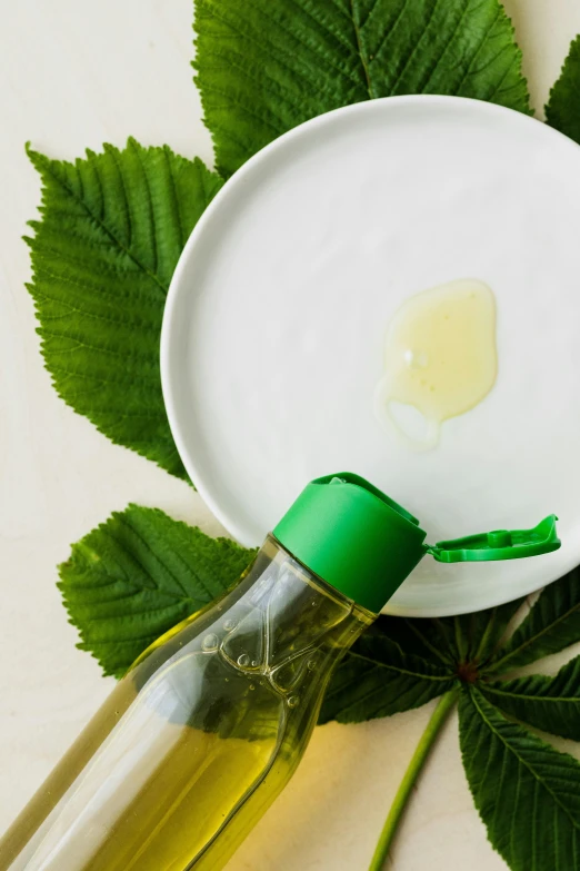 a bottle of olive oil next to a green leaf, hair gel combed backwards, cream of the crop, thumbnail, uncropped