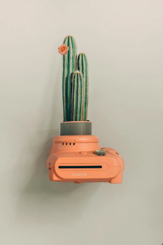 a cactus sitting on top of a toilet paper dispenser, a polaroid photo, inspired by Wes Anderson, unsplash contest winner, toned orange and pastel pink, 3d printed, holster, detailed product image