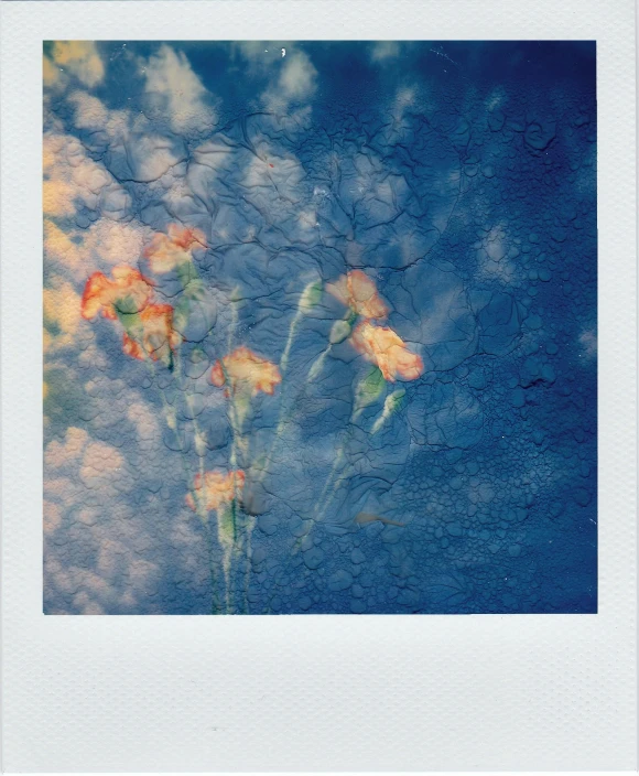 a polaroid picture of a bunch of flowers in the sky, inspired by Elsa Bleda, unsplash, post-impressionism, blue and orange tones, with reflection and textures, jiyun chae, flowers inside of a marble