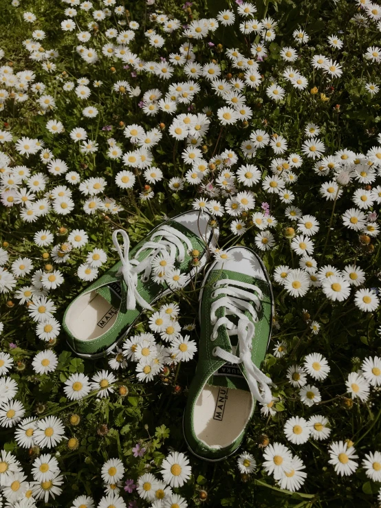 a pair of green shoes sitting on top of a field of white flowers, inspired by Elsa Bleda, trending on pexels, photorealism, grunge aesthetic!!! (, 🤬 🤮 💕 🎀, chamomile, may)