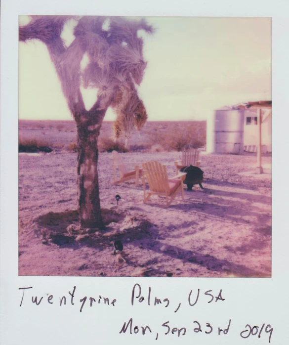 a picture of a person sitting in a chair under a tree, a polaroid photo, by Gwen Barnard, unsplash, temporary art, the palms come from the ground, taylor swift made of purple ice, usa-sep 20, slowtime