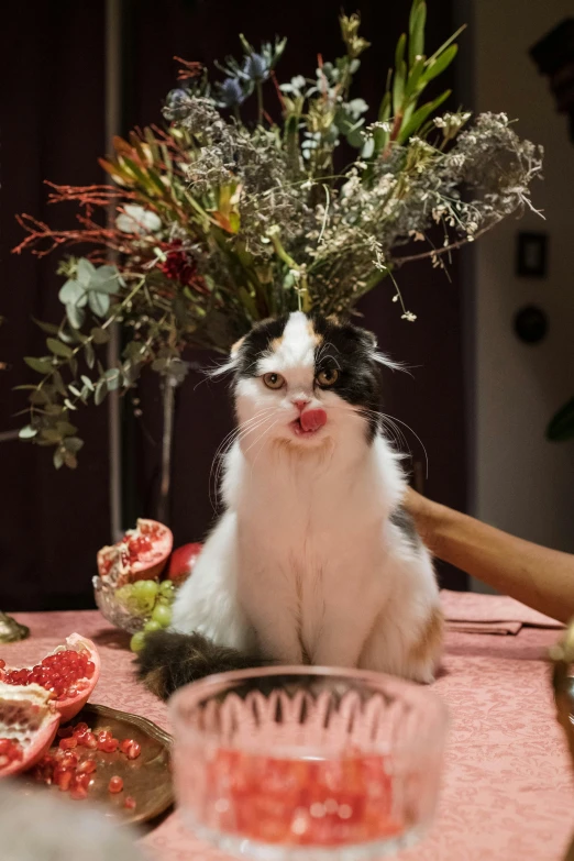 a black and white cat sitting on top of a table, made of flowers and berries, at a dinner table, hyperreal movie shot, she has a crown of dried flowers