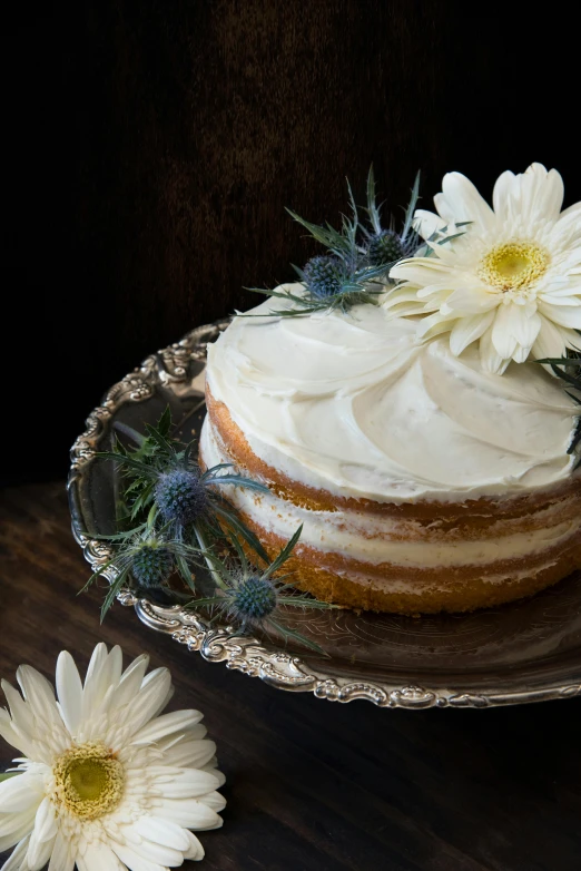 a close up of a cake on a plate with flowers, inspired by Harry Haenigsen, unsplash, renaissance, frosted, a blond, rustic, krystal