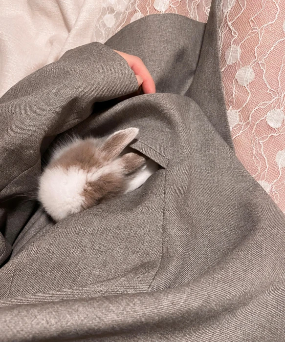 a close up of a person holding a rabbit in a blanket, in a suit, instagram post, hidden area, julia hetta
