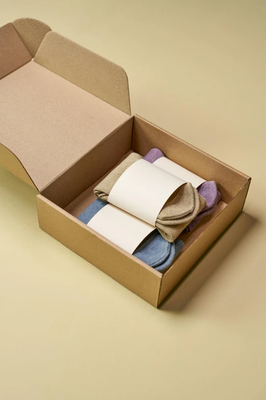 a cardboard box with a pair of socks in it, inspired by Eden Box, pastel colours overlap, premium quality, muted brown, indigo