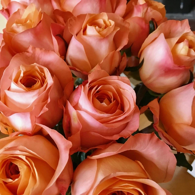 a vase filled with orange roses sitting on a table