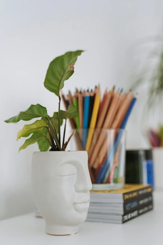 a white vase with a plant inside of it, trending on pexels, academic art, pencils, ceramic looking face, office background, large leaves