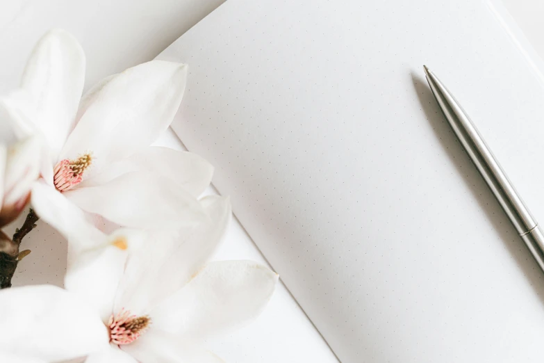 a pen sitting on top of a piece of paper next to a flower, minimalism, white and silver, background image, thumbnail