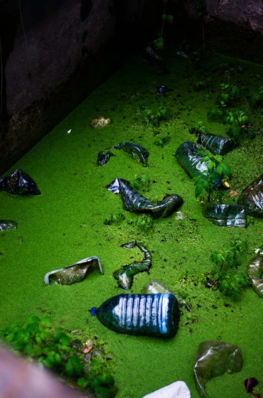 a bunch of bottles that are in the water, by Elsa Bleda, environmental art, 2022 photograph, green, jakarta, underground lake