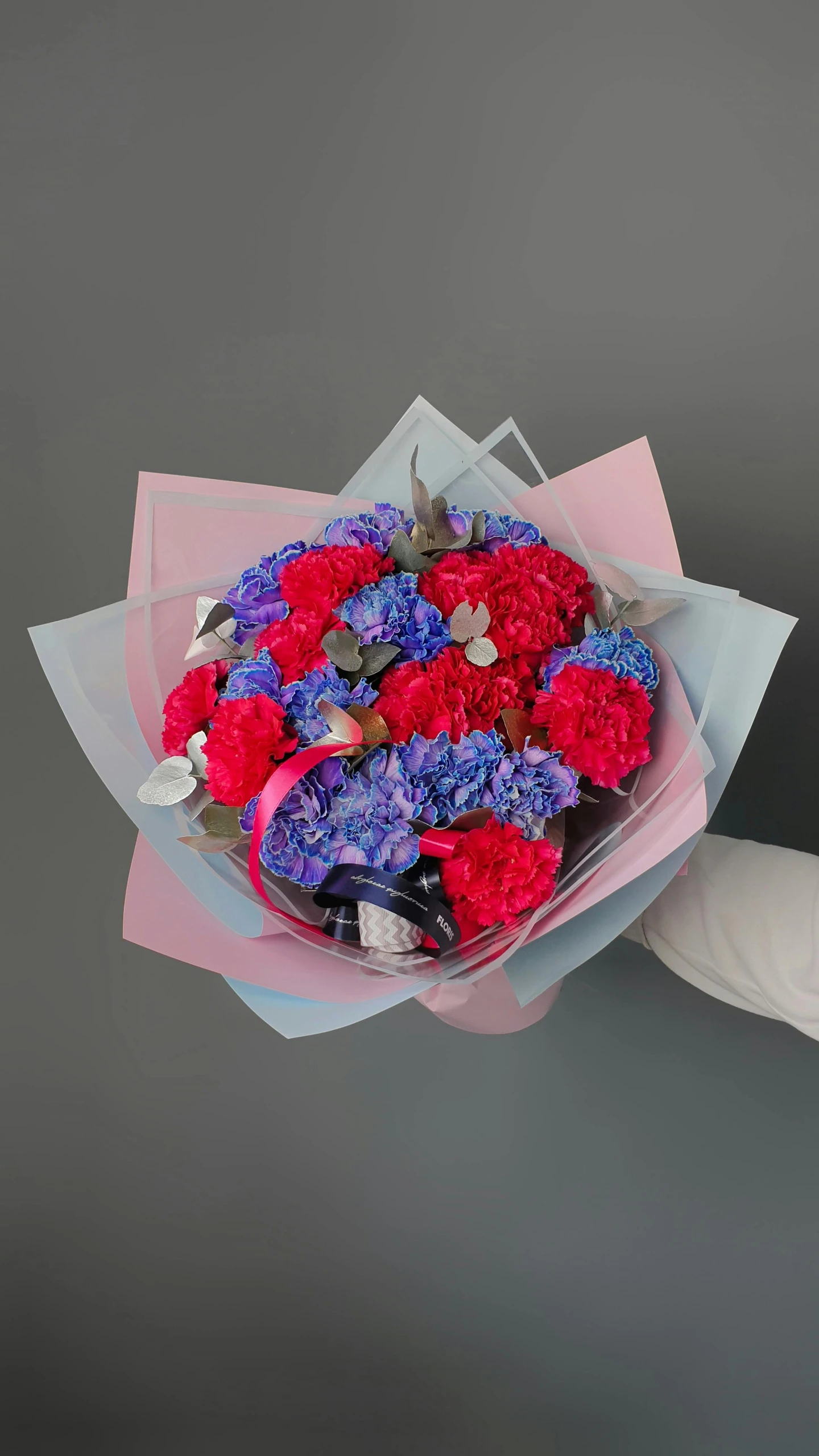 a close up of a person holding a bouquet of flowers, red and blue color theme, on a gray background, corals, (flowers)