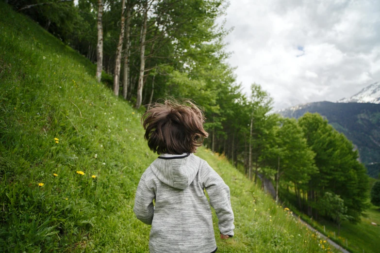 a little boy that is standing in the grass, by Alessandro Allori, pexels contest winner, solo hiking in mountains trees, hairs fly in the wind, facing away, be running up that hill