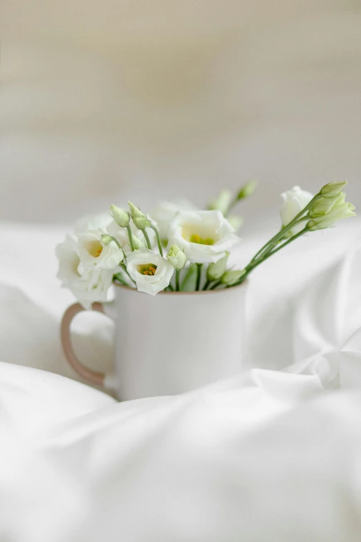 a cup filled with white flowers sitting on a bed, silky smooth, understated, soothing, seasonal