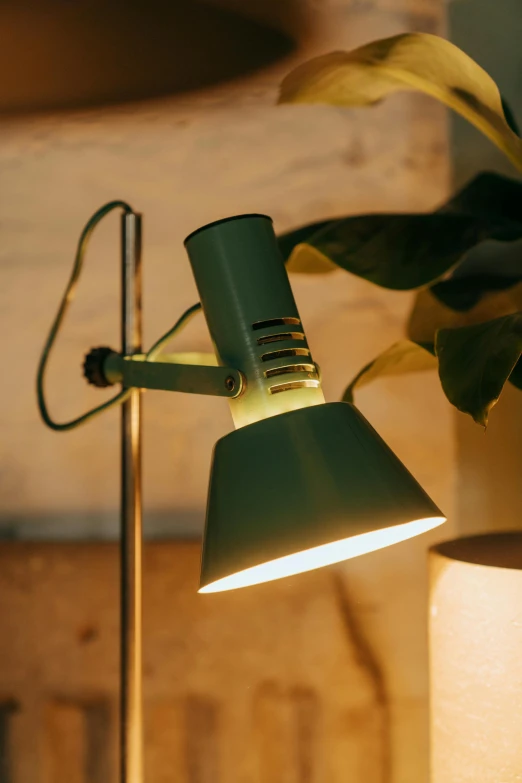 a green lamp sitting on top of a table next to a potted plant, by Jesper Knudsen, unsplash, modernism, dynamic closeup, clamp shell lighting, detailed product image, worn