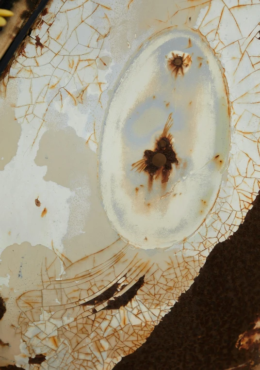 a white toilet sitting on top of a dirty floor, by Brett Whiteley, conceptual art, rusted metal texture, microscopic detail, portrait n - 9, white with chocolate brown spots